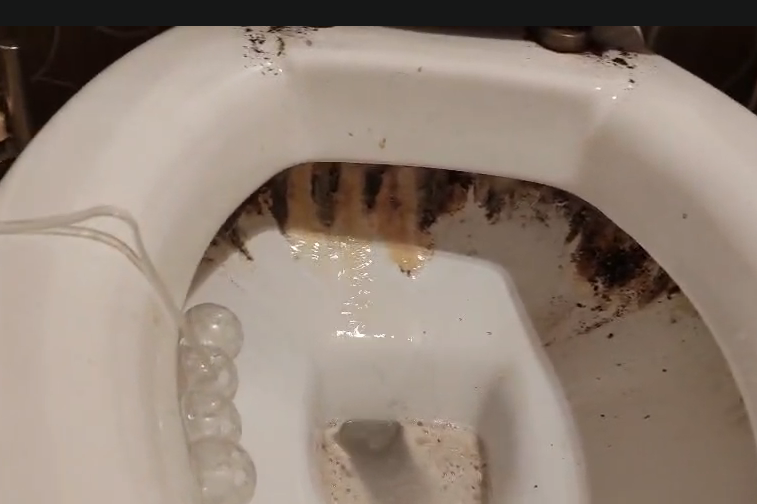 WC školjka prije čišćenja